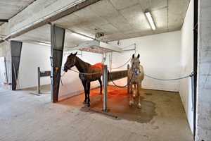 Traumhafte Reitanlage – Ein Paradies für Pferdeliebhaber! – Schleswig-Flensburg (Kreis) – Vorschaubild 3