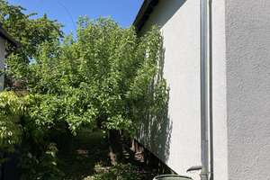Freistehendes Einfamilienhaus  von privat, direkt vom Eigentümer – 64839 Münster – Vorschaubild 4