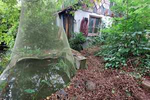 *** Ein-/Zweifamilienhaus mit großem Gartenparadies *** – Mönchengladbach – Vorschaubild 11