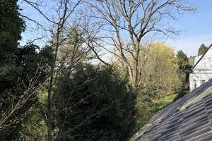 Property thumbnail 44