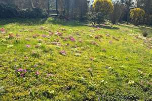 Property thumbnail 16