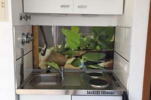 Charmantes 1-Zimmer Dachgeschoss-Apartment in Mannheim-Neckarstadt-West – Lortzingstrasse 21 58, 68169 Neckarstadt-West, Mannheim – Vorschaubild 1