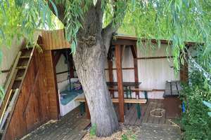 Attraktiver Bungalow in ruhiger Lage von Magdeburg | 108 m² | Garage | provisionsfrei – Die vollständige Adresse der Immobilie erhältst du vom Anbieter., 39118 Reform, Magdeburg – Vorschaubild 2