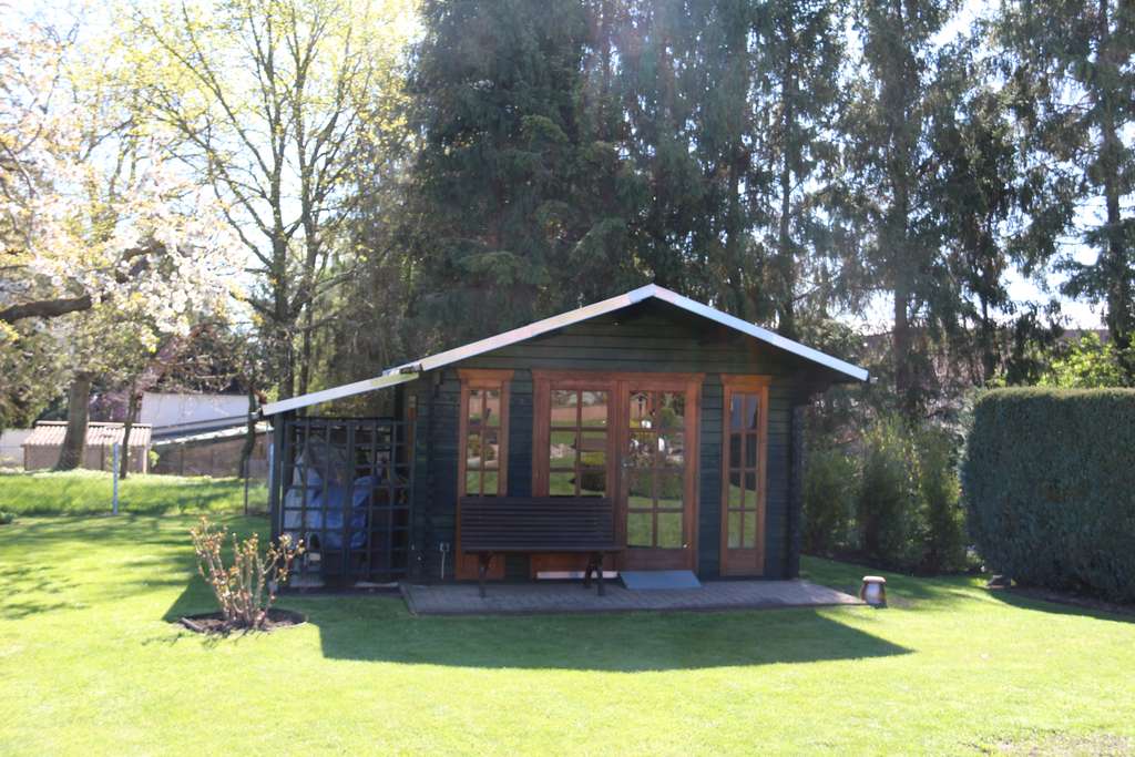 Immobilie in Elstertrebnitz - Hochwertiges und sehr gepflegtes Einfamilienhaus mit Keller und tollem Grundstück - Bild 4