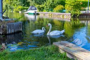 Property thumbnail 9