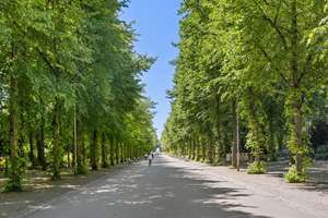 Property thumbnail 3