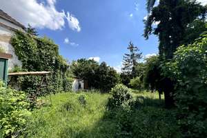 Einfamilienhaus am Ortsrand von Dieskau inkl. ca. 1330m² Grundstück – Benndorfer Straße 10, 6184 Kabelsketal – Vorschaubild 11