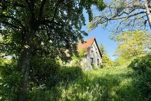 Einfamilienhaus mit Einliegerwohnung auf 1 Hektar Anwesen - für Naturliebhaber & Selbstversorger! – Märkisch-Oderland (Kreis) – Vorschaubild 1