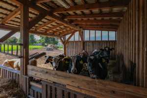+Gehöft mit Zweifamilienhaus -Gewerbeflächen ca.300QM-Landwirtschaftsflächen ca.6500QM+ – Spree-Neiße (Kreis) – Vorschaubild 11