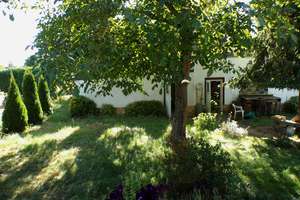 Paradies für Naturliebhaber - Eckgrundstück mit Bungalow – Die vollständige Adresse der Immobilie erhältst du vom Anbieter., 4349 Plaußig-Portitz, Leipzig – Vorschaubild 13