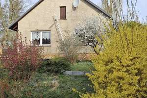 Einfamilienhaus in Mühlenbeck in idyllischer und ruhiger Lage – Lindenallee 43, 16567 Mühlenbecker Land – Vorschaubild 1