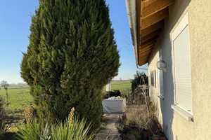 Freistehendes Einfamilienhaus in Alfdorf-Adelstetten mit wunderschönem idyllischem Garten – Rems-Murr-Kreis – Vorschaubild 5