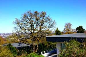 +++ BRIMO | Anwesen mit wundervoller Aussicht und Einliegerwohnung +++ – Die vollständige Adresse der Immobilie erhältst du vom Anbieter., 42119 Elberfeld, Wuppertal – Vorschaubild 2