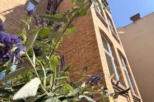 Altbaucharme auf zwei Ebenen – großzügige Maisonette mit sonniger Hofterrasse – 6110 Südliche Innenstadt, Halle (Saale) – Vorschaubild 7