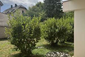 Schöne 2,5-Zimmer Wohnung mit Terrasse und Garten – Schleißheimer Straße 257, 80809 Am Riesenfeld, München – Vorschaubild 26
