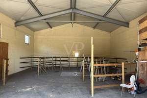 Modernes Anwesen mit Reitanlage und 3,8 ha Pachtfläche – Die vollständige Adresse der Immobilie erhältst du vom Anbieter., 72160 Horb am Neckar – Vorschaubild 19