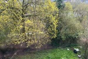 Helle 3-Zimmer-Wohnung in beliebter Lage von  Wuppertal Elberfeld – Hansastraße 53, 42109 Uellendahl-Katernberg, Wuppertal – Vorschaubild 7