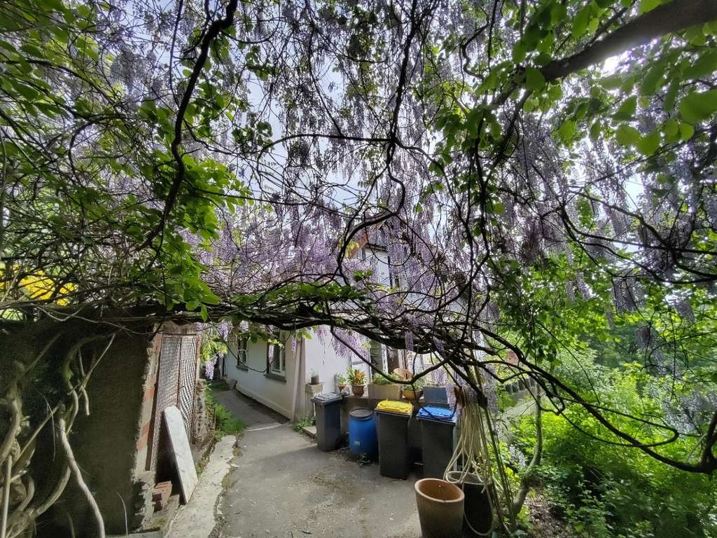 Idyllisch gelegenes Einfamilienhaus mit großem Grundstück in Solingen-Hästen