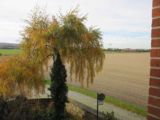 Ausblick 3 Ausblick 3