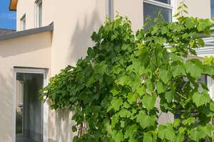 Traumhaftes Zuhause in Aubing - Provisionsfrei! – Die vollständige Adresse der Immobilie erhältst du vom Anbieter., 81243 Aubing-Süd, München – Vorschaubild 11