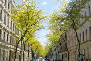**Helle 2-Raum-Wohnung mit BALKON  & Holzdielen im sanierten Altbau** WE 08***