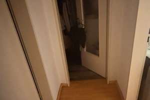 Lebendig wohnen in Stadtfeld Ost: 2,5-Zimmer-Wohnung mit Balkon – Die vollständige Adresse der Immobilie erhältst du vom Anbieter., 39108 Stadtfeld Ost, Magdeburg – Vorschaubild 4