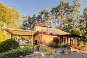 Majestätisches - 4.100 m² traumhaftes GST - Bungalow inkl. Pool, Sauna, Carport & Gästehaus am See ! – Oder-Spree (Kreis) – Vorschaubild 7