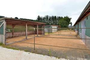 PFERDERANCH, REITANLAGE, TRAUMHAUS, SPITZENPREIS – Die vollständige Adresse der Immobilie erhältst du vom Anbieter., 55767 Meckenbach – Vorschaubild 5