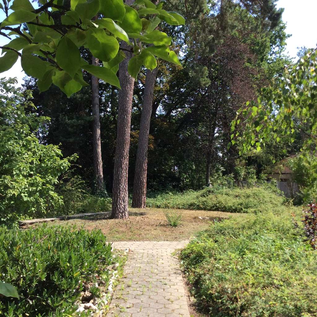 Immobilie in Emskirchen - Großzügiges Einfamilienhaus mit 5 Zimmern - Bild 3