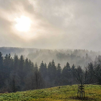 Idyllisches Wohnhaus mit Stall - ideal für Pferde/-Tierhaltung 
oder Selbstversorgung in Brunnadern