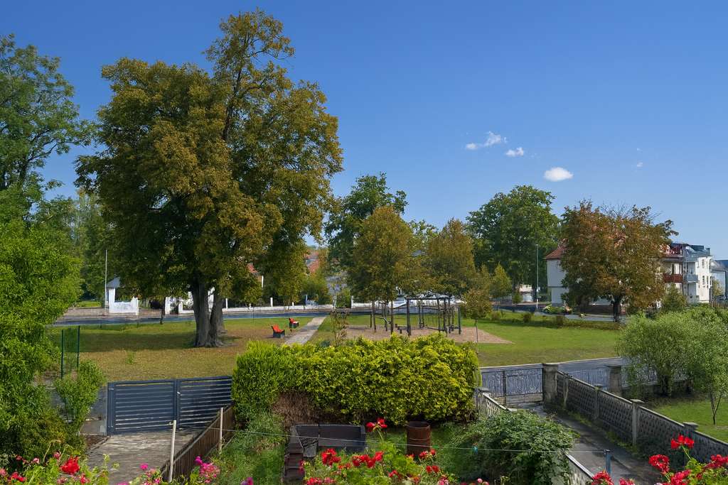 Immobilie in Bad Lausick - Zwei Wohnhäuser mit moderner Ausstattung und historischem Charme in der Kurstadt Bad Lausick - Bild 2