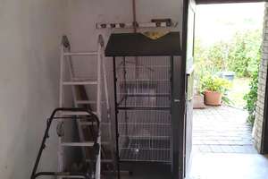 1-3 Fam. Haus ca 360 qm in WILLEBADESSEN zwischen HÖXTER+PADERBORN+NEBENGEBÄUDE +1000 qm GRUNDSTÜCK – Die vollständige Adresse der Immobilie erhältst du vom Anbieter., 34439 Willebadessen – Vorschaubild 43