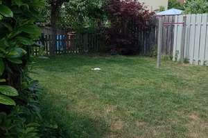 Gepflegtes Reihenendhaus mit Garten  – Die vollständige Adresse der Immobilie erhältst du vom Anbieter., 74363 Güglingen – Vorschaubild 11