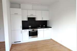 Stilvolle, geräumige und vollständig renovierte 1-Zimmer-Wohnung mit Balkon und EBK in Wiesbaden – Die vollständige Adresse der Immobilie erhältst du vom Anbieter., 65201 Schierstein, Wiesbaden – Vorschaubild 22