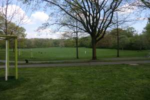LEBEN MIT NETTEN NACHBARN AM VORGEBIRGSPARK........ – Kierbergerstr 15, 50969 Zollstock, Köln – Vorschaubild 5