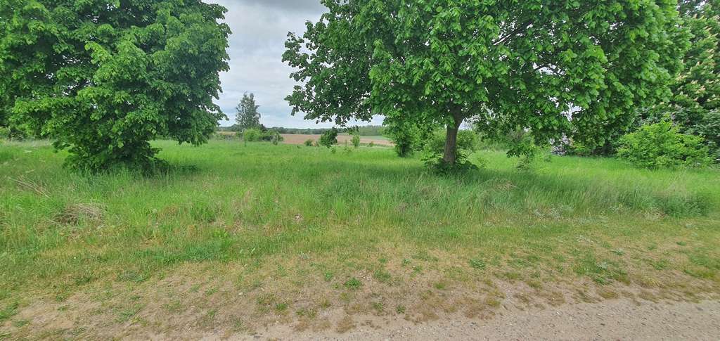 Immobilie in Oberbarnim - Planung nach Ihren Wünschen auf einem weitläufigen Grundstück mit Bauzeitgarantie zum Festpreis - Bild 4