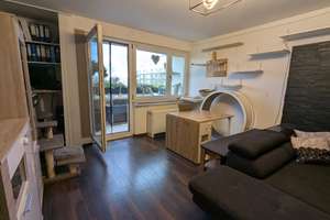 Property thumbnail 19