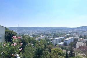 Property thumbnail 23