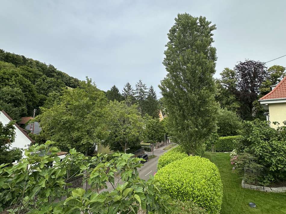 Ausblick