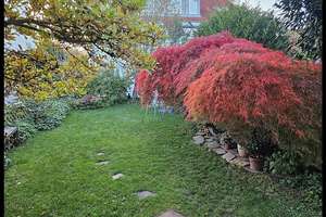 Property thumbnail 24