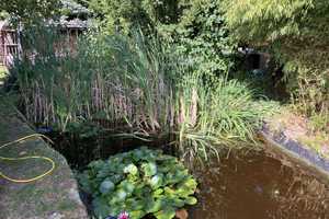 Gemütliche DHH in Eilsleben OT Wormsdorf – Börde (Kreis) – Vorschaubild 6