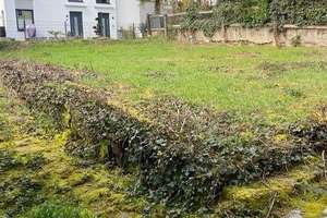 Sanierung oder Umwandlung: historischer Dreiseitenhof mit Bauplatz in WI-Naurod – Die vollständige Adresse der Immobilie erhältst du vom Anbieter., 65207 Naurod, Wiesbaden – Vorschaubild 7