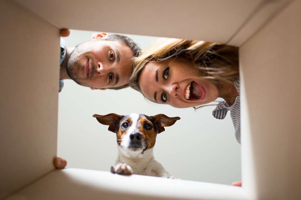 Immobilie in Perl - Ihr Traum-Einfamilienhaus in Perl - Individuell geplant und energieeffizient gebaut - Bild 2