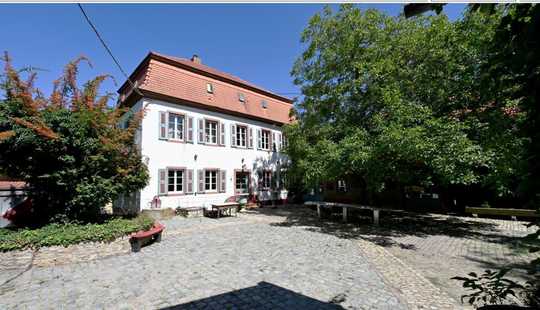 Bild von Schloss Alsheim sucht neuen Eigentümer!
