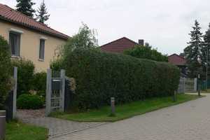Ansprechendes 4 Zimmer-Einfamilienhaus mit gehobener Innenausstattung in Schönwalde-Glien – Havelland (Kreis) – Vorschaubild 6