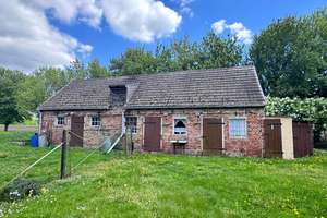 Kleines altes Haus mit 5000qm Grundstück in Zechin OT Friedrichsaue – Mittelweg 3, 15328 Küstriner Vorland – Vorschaubild 11