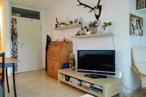 Property thumbnail 3