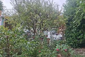 Schmuckstück in zentraler Lage von Pirmasens mit Wintergarten – Höhstraße 30, 66955 Pirmasens, Pirmasens – Vorschaubild 19