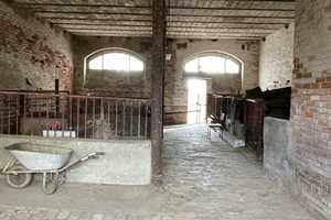 Bauernhof- Viel Platz für Mensch, Hund und Katz!  – Bernburg (Saale), Salzlandkreis, 6406 Salzlandkreis – Vorschaubild 19