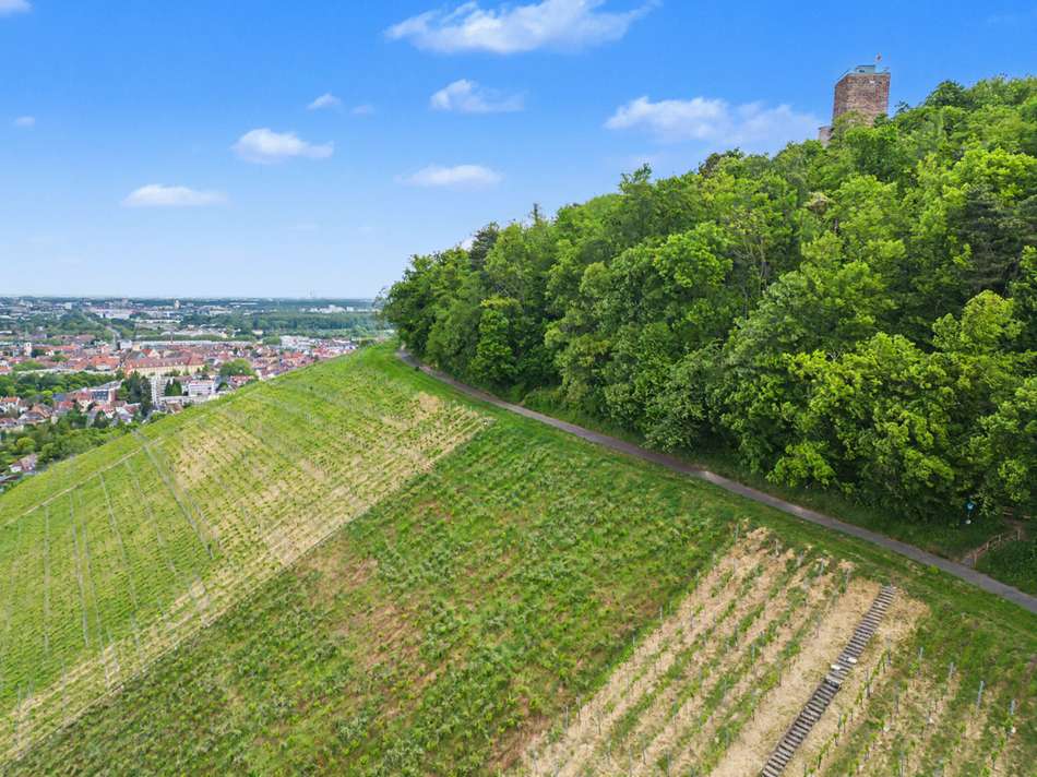 Umgebung